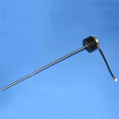 Brezkrtačni motor Sous Vide